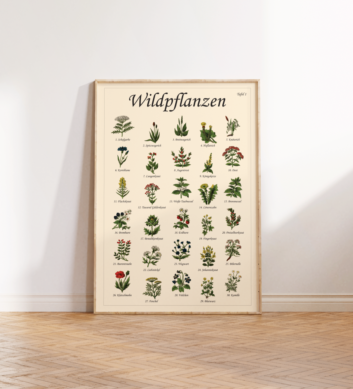 Poster mit Vintage-Zeichnungen essbarer Wildpflanzen, Kräuter und Pilze – Fineart-Druck auf Premium-Papier