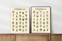 Poster mit Vintage-Zeichnungen essbarer Wildpflanzen, Kräuter und Pilze – Fineart-Druck auf Premium-Papier
