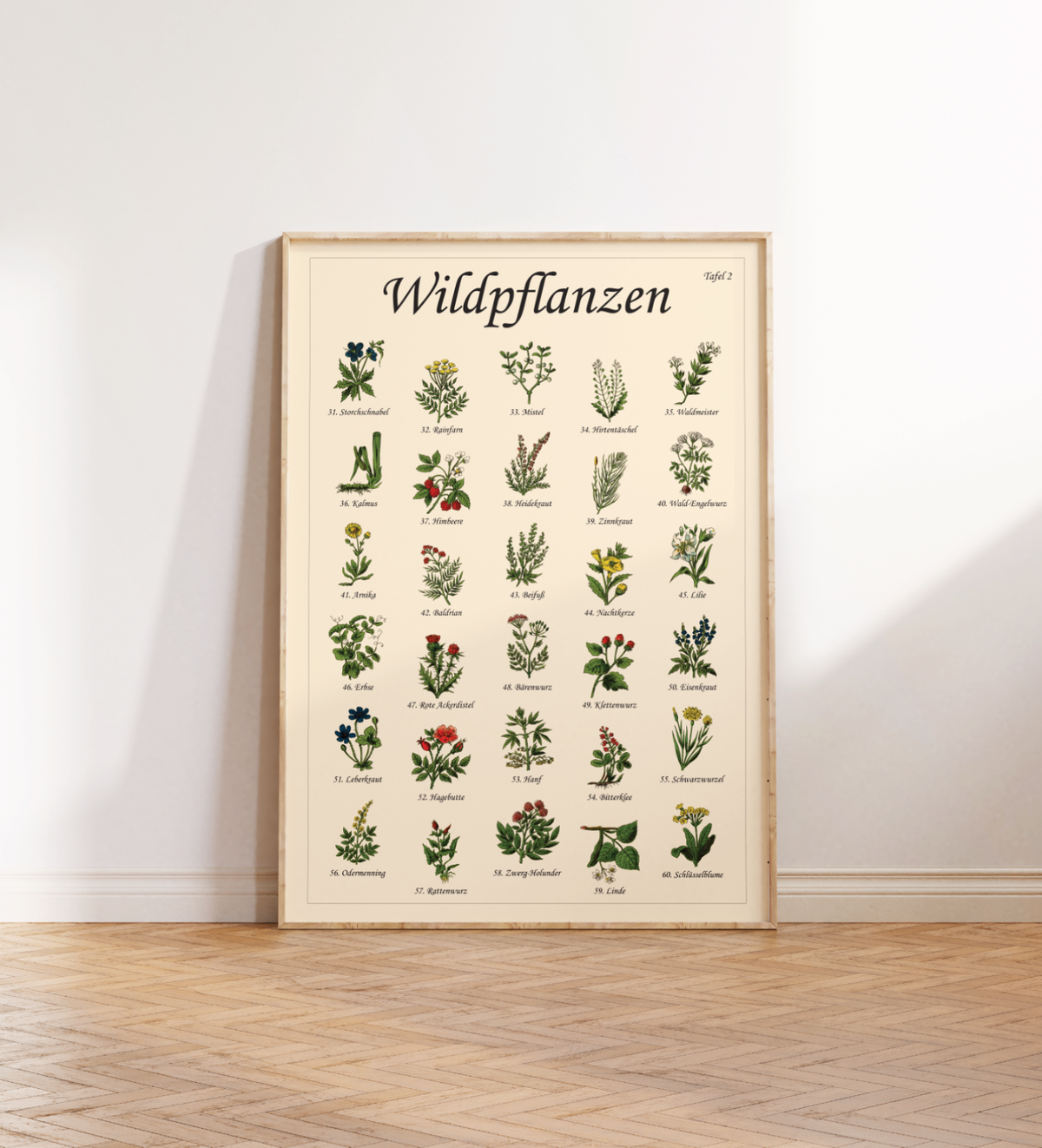 Poster mit Vintage-Zeichnungen essbarer Wildpflanzen, Kräuter und Pilze – Fineart-Druck auf Premium-Papier