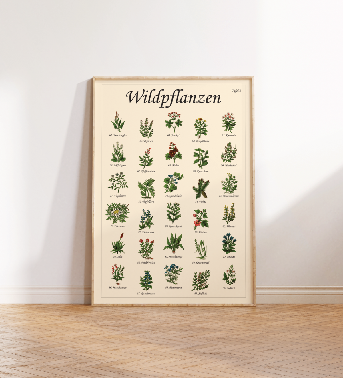 Poster mit Vintage-Zeichnungen essbarer Wildpflanzen, Kräuter und Pilze – Fineart-Druck auf Premium-Papier