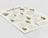 Das Poster zeigt 11 heimische Heilkräuter mit gezeichneten Illustrationen, wo du die Kräuter findest, wann sie blühen, die Zubereitung und Wirkungen.