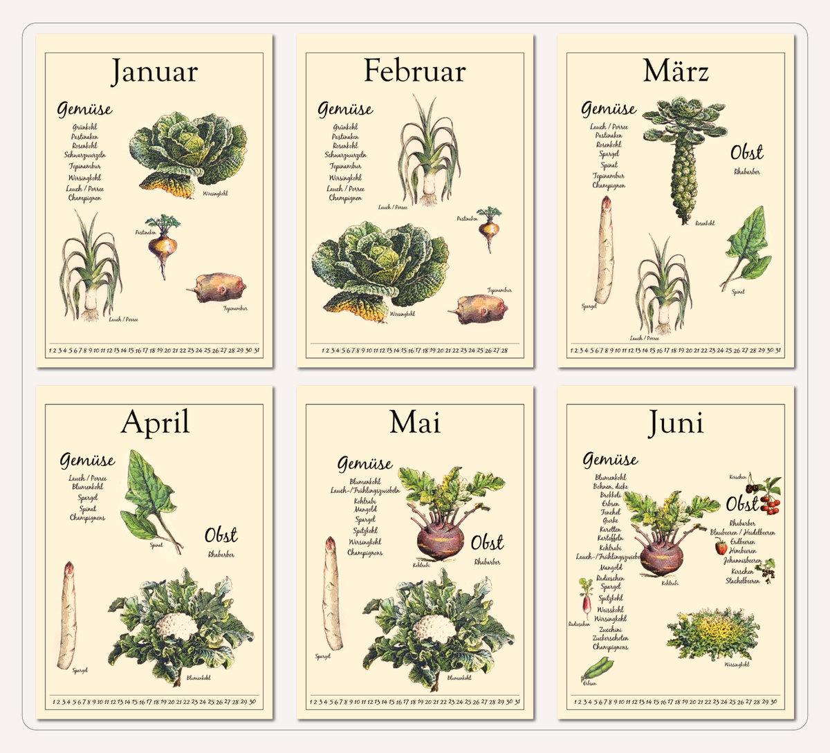 Dieser Kalender zeigt dir verschiedene saisonale und regionale Obst, Gemüse, Salat und Obst Sorten und wann diese verfügbar sind.