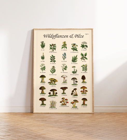 Poster mit Vintage-Zeichnungen essbarer Wildpflanzen, Kräuter und Pilze – Fineart-Druck auf Premium-Papier