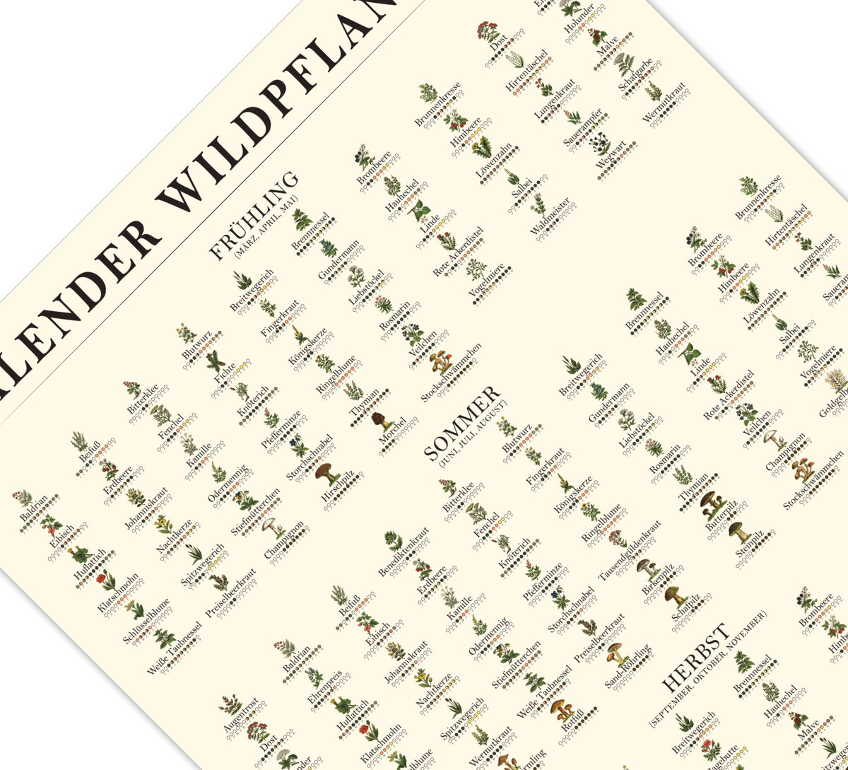 Poster „Saisonkalender Kräuter & Pilze“ – Fineart-Druck auf 200 g/m² Premium-Papier, beige, Vintage-Design, verschiedene Größen, ungerahmt. Ideal für Naturfreunde.