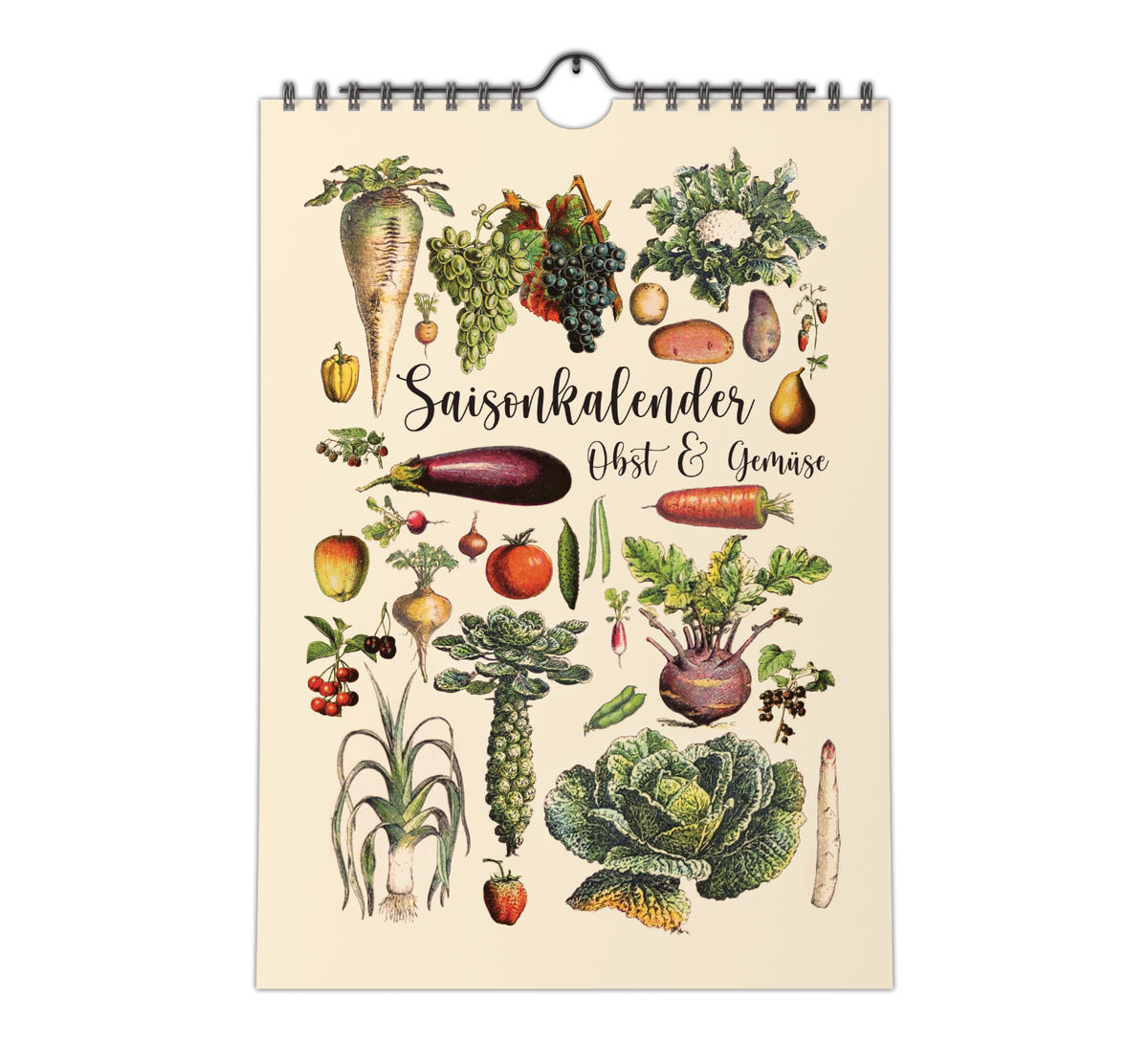 Dieser Kalender zeigt dir verschiedene saisonale und regionale Obst, Gemüse, Salat und Obst Sorten und wann diese verfügbar sind.