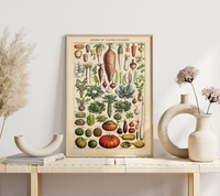 Vintage Saisonkalender Poster mit botanischen Illustrationen von Adolphe Millot. Fineart-Druck auf 200 g/m² Premium-Papier, in verschiedenen Größen erhältlich. Perfekt für deine Küche!