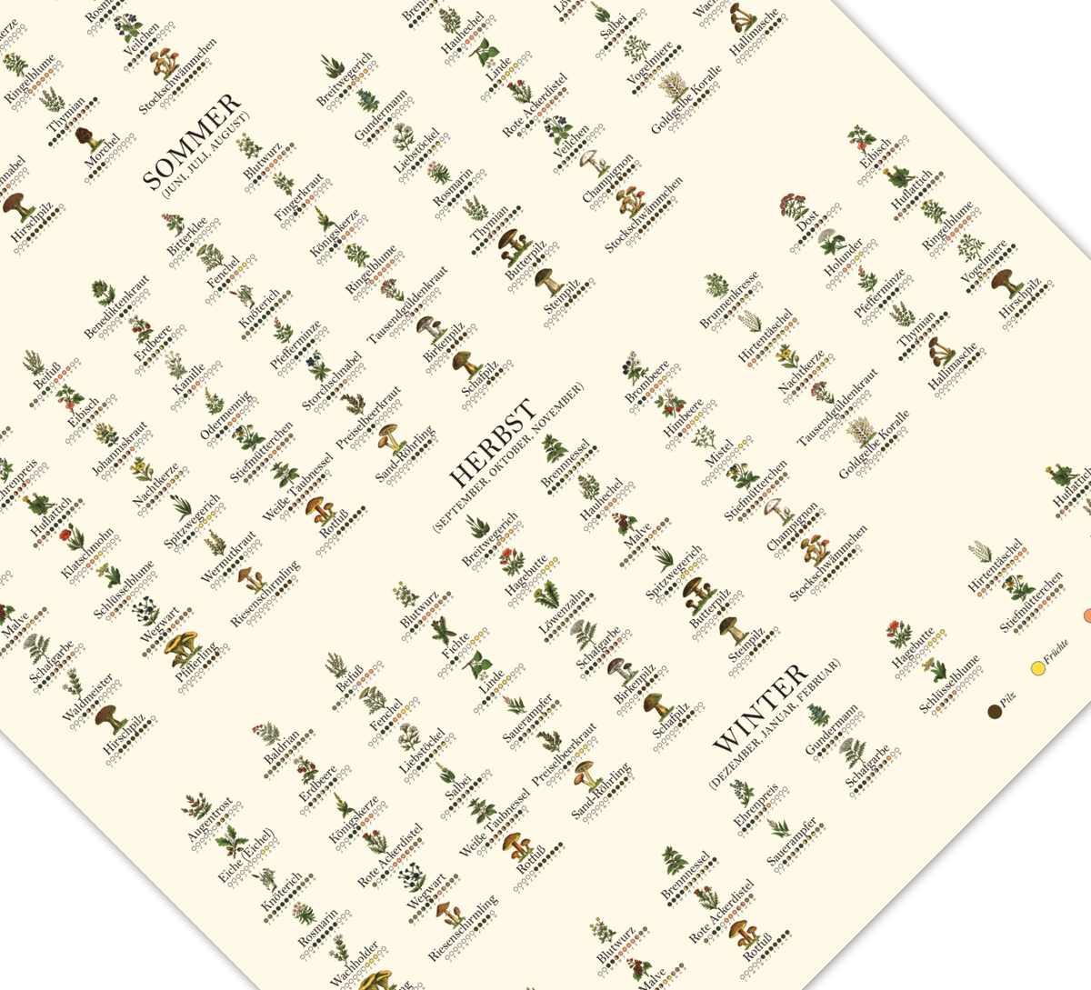 Poster „Saisonkalender Kräuter & Pilze“ – Fineart-Druck auf 200 g/m² Premium-Papier, beige, Vintage-Design, verschiedene Größen, ungerahmt. Ideal für Naturfreunde.