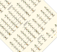 Poster „Saisonkalender Kräuter & Pilze“ – Fineart-Druck auf 200 g/m² Premium-Papier, beige, Vintage-Design, verschiedene Größen, ungerahmt. Ideal für Naturfreunde.