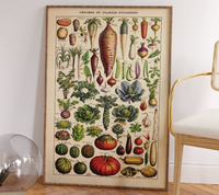 Vintage Saisonkalender Poster mit botanischen Illustrationen von Adolphe Millot. Fineart-Druck auf 200 g/m² Premium-Papier, in verschiedenen Größen erhältlich. Perfekt für deine Küche!