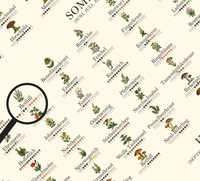 Poster „Saisonkalender Kräuter & Pilze“ – Fineart-Druck auf 200 g/m² Premium-Papier, beige, Vintage-Design, verschiedene Größen, ungerahmt. Ideal für Naturfreunde.