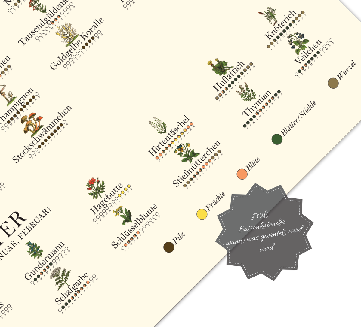 Poster „Saisonkalender Kräuter & Pilze“ – Fineart-Druck auf 200 g/m² Premium-Papier, beige, Vintage-Design, verschiedene Größen, ungerahmt. Ideal für Naturfreunde.