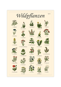 Poster mit Vintage-Zeichnungen essbarer Wildpflanzen, Kräuter und Pilze – Fineart-Druck auf Premium-Papier