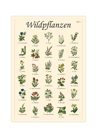 Poster mit Vintage-Zeichnungen essbarer Wildpflanzen, Kräuter und Pilze – Fineart-Druck auf Premium-Papier