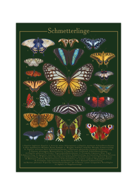 Dieses Poster zeigt 21 europäische und außer-europäische Schmetterlinge mit lateinischen und deutschen Bezeichnungen.