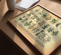 Vintage Poster – Kräuter & Arzneipflanzen. Detaillierte botanische Illustration mit Pflanzennamen – perfekt für Natur- und Vintage-Liebhaber! Ideal für Küche & Wohnraum!