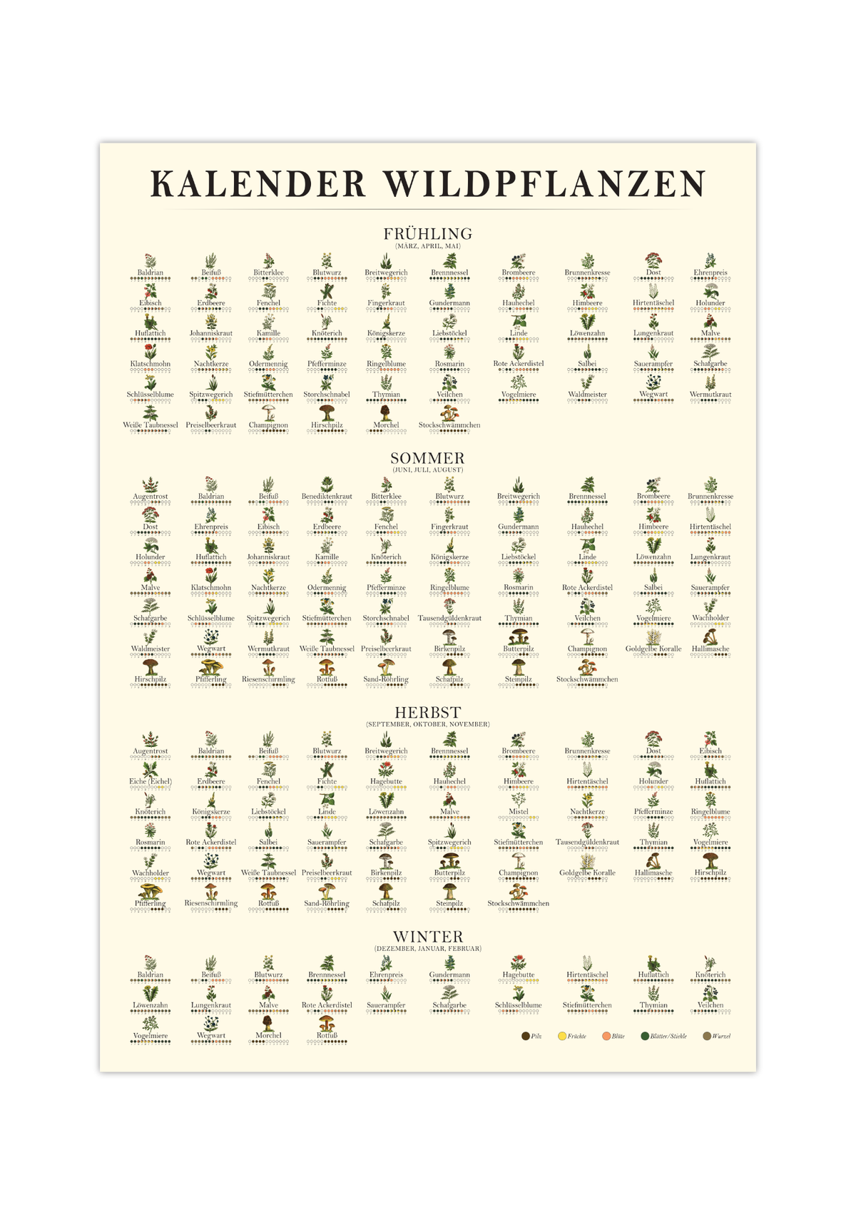 Poster „Saisonkalender Kräuter & Pilze“ – Fineart-Druck auf 200 g/m² Premium-Papier, beige, Vintage-Design, verschiedene Größen, ungerahmt. Ideal für Naturfreunde.