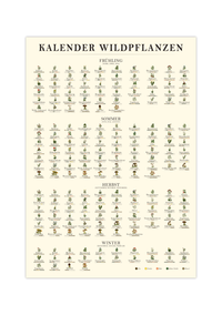 Poster „Saisonkalender Kräuter & Pilze“ – Fineart-Druck auf 200 g/m² Premium-Papier, beige, Vintage-Design, verschiedene Größen, ungerahmt. Ideal für Naturfreunde.