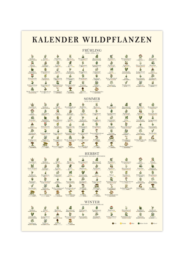Poster „Saisonkalender Kräuter & Pilze“ – Fineart-Druck auf 200 g/m² Premium-Papier, beige, Vintage-Design, verschiedene Größen, ungerahmt. Ideal für Naturfreunde.