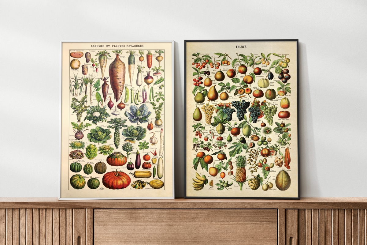 Botanisches Poster Vintage Gartengemüse Illustration