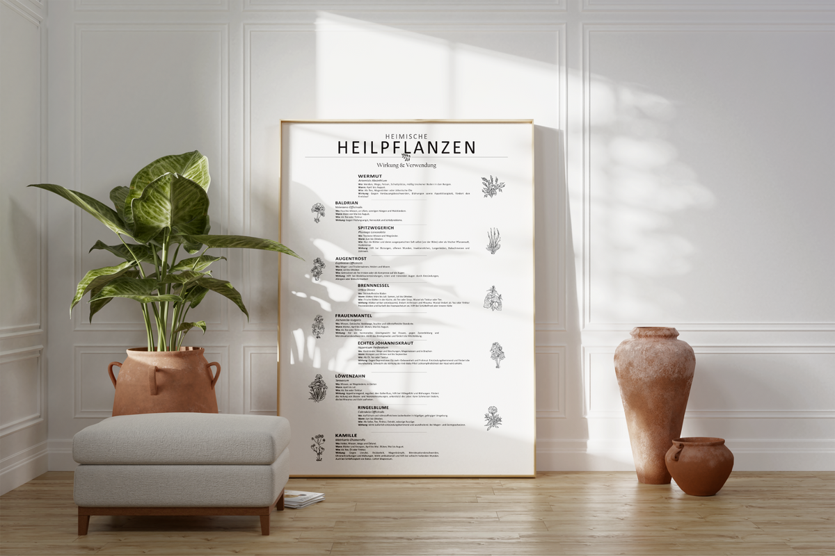 Dieses Poster zeigt 10 heimische Heilkräuter mit gezeichneten Illustrationen mit deutschem und lateinischem Namen.