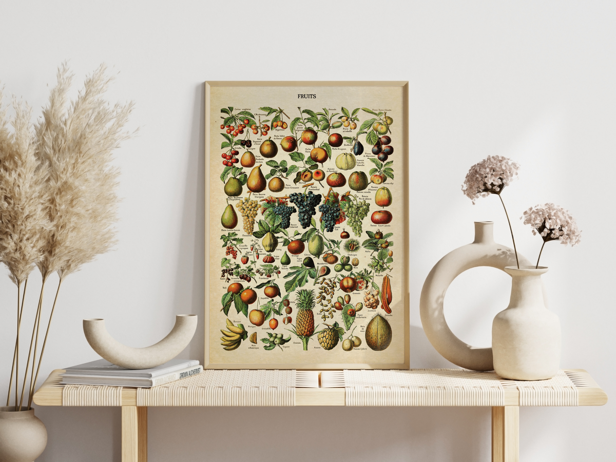 Die schöne, französische Illustration von Früchten stammt von Adolphe Philippe Millot und erschien im Buch "Dictionnaire complet illustré" im Jahre 1889.