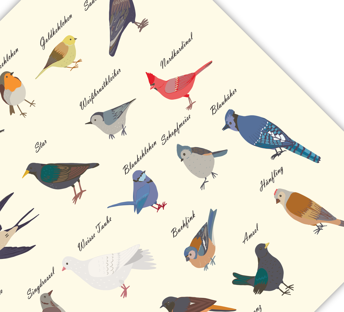 Dieses Poster zeigt dir die gemeinen heimischen Vogelarten, die man im Garten und in der Natur beobachten kann.