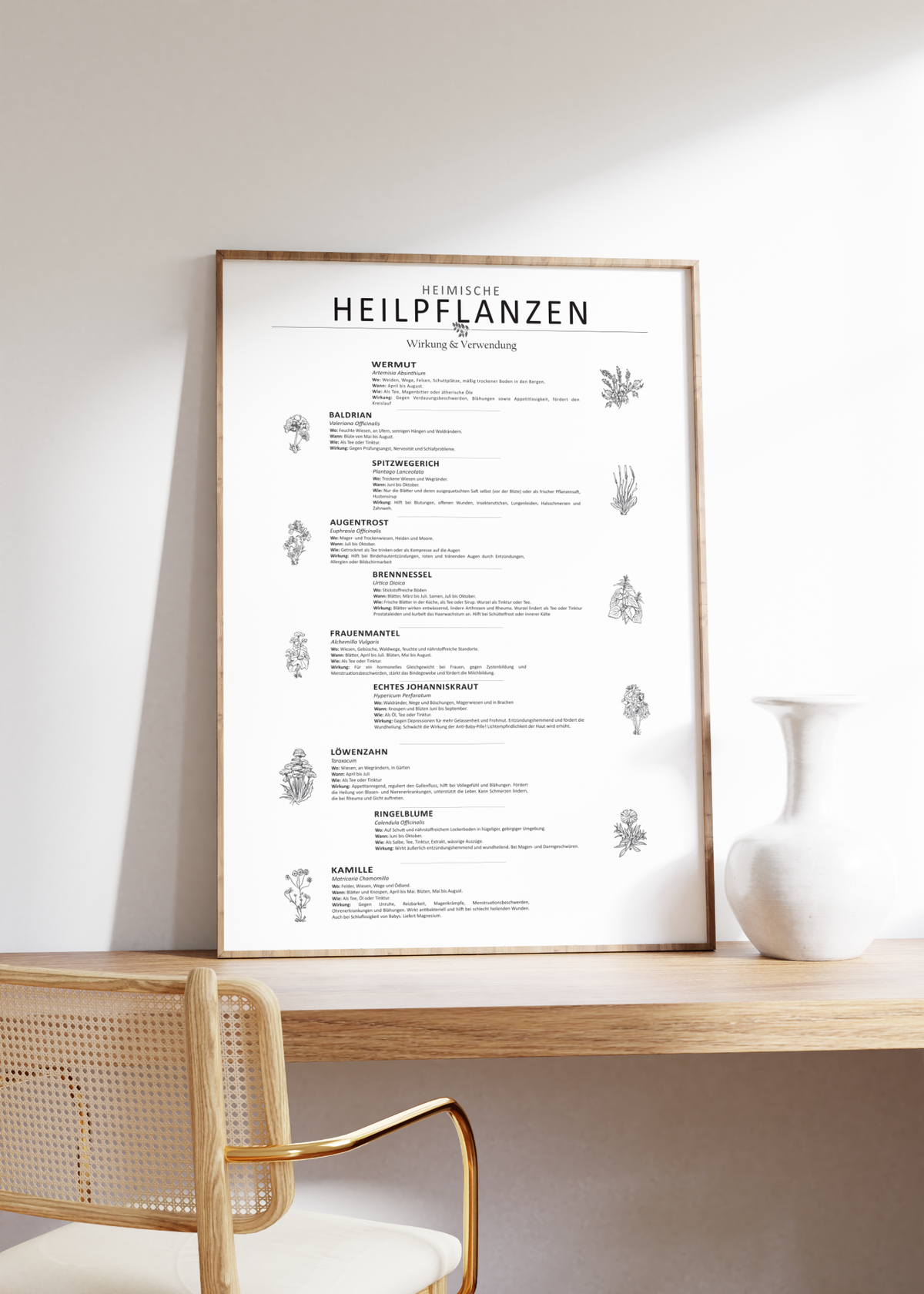 Dieses Poster zeigt 10 heimische Heilkräuter mit gezeichneten Illustrationen mit deutschem und lateinischem Namen.