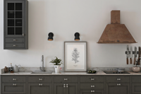 Dieses Poster zeigt dir eine vintage Illustration einer Stechginster Pflanze in Schwarz und Weiß.