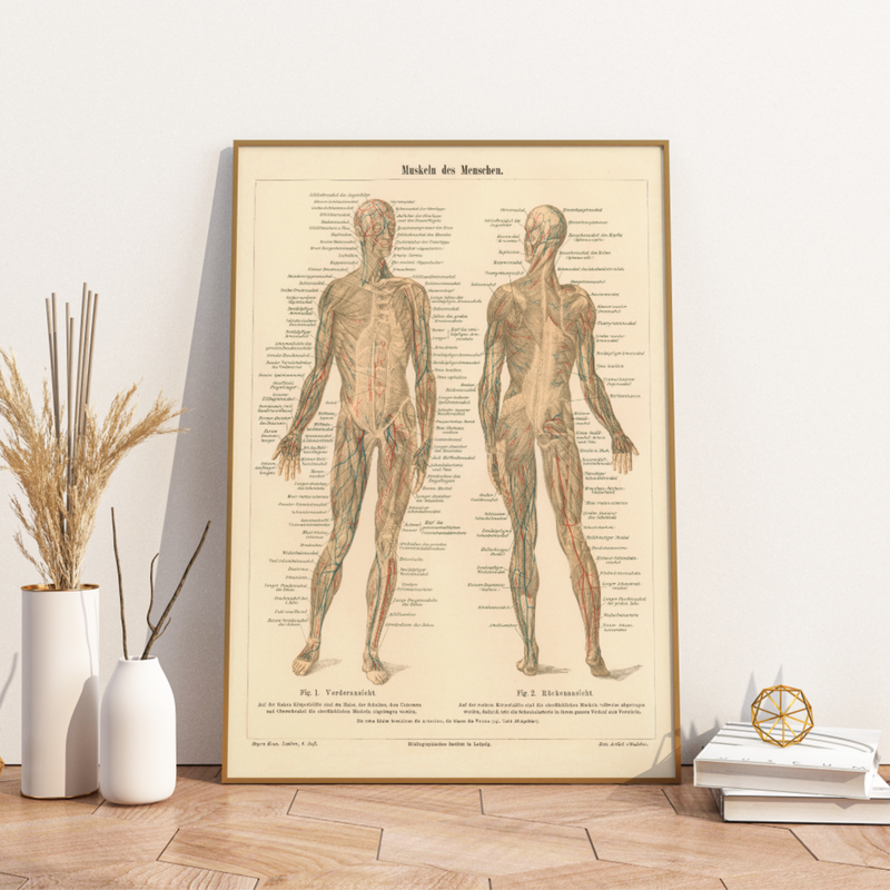 Finde tolle vintage und retro Poster, für Küche, Esszimmer, Schlafzimmer, Büro oder Wohnzimmer. 