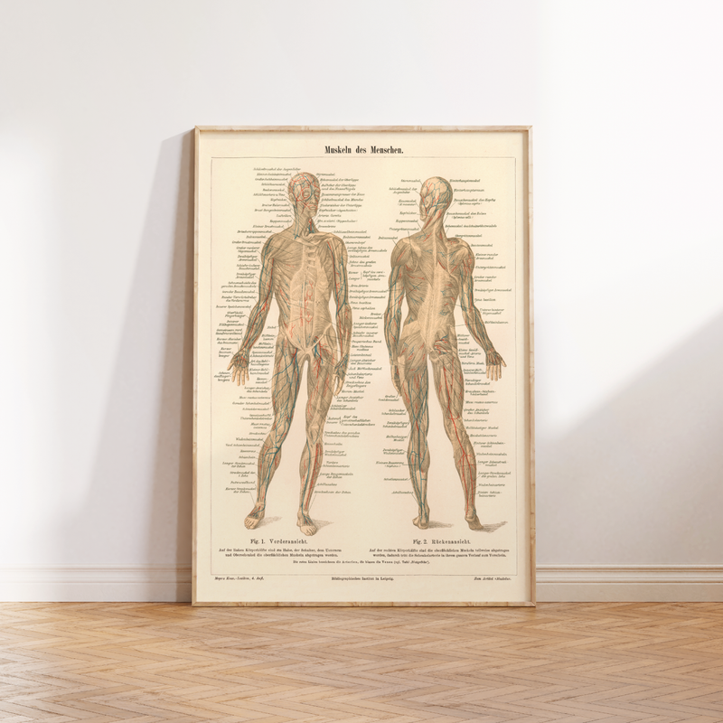  Vintage Poster zum Thema Wissenschaft, Medizin & Technik.