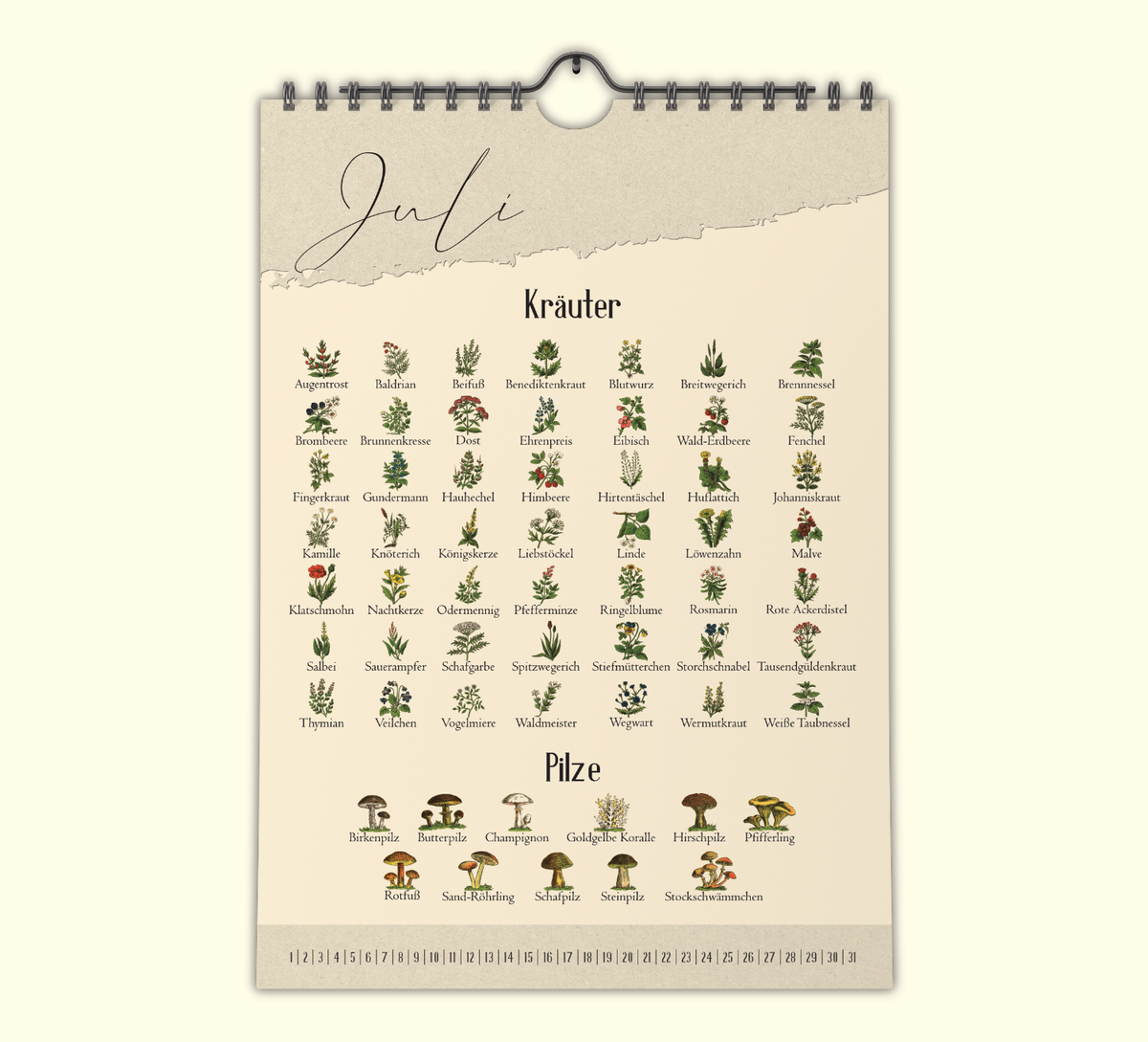 Saisonkalender Wildpflanzen | Kräuter & Pilze A4 Vintage
