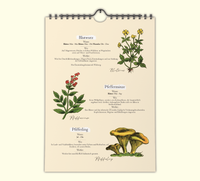 Saisonkalender Wildpflanzen | Kräuter & Pilze A4 Vintage