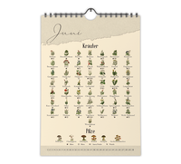 A4-Wandkalender mit historischen Illustrationen von Wildpflanzen, Kräutern und Pilzen aus der Zeit um 1900; Monatsübersicht mit saisonalen Pflanzen, hochwertiger Fineart-Druck auf Premium-Papier, Vintage-Design mit schwarzer Spiralbindung.