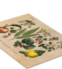 Vintage botanische Illustration „Der Garten“ gedruckt auf einer 9mm dicken Birkensperrholzplatte im Format 30x40 cm, präsentiert auf einer kleinen Holzstaffelei vor weißem Hintergrund.
