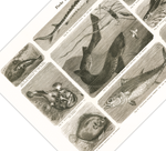 Das Poster von Vögeln ist eine Vintage Lithographie aus Meyers Koversations-Lexikon aus dem Jahr 1890.