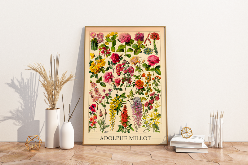 Das botanische Poster zu Blumen ist eine Illustration des französischen Künstlers Adolphe Millot. 