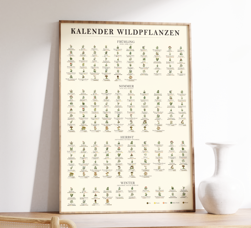 Poster „Saisonkalender Kräuter & Pilze“ – Fineart-Druck auf 200 g/m² Premium-Papier, beige, Vintage-Design, verschiedene Größen, ungerahmt. Ideal für Naturfreunde.