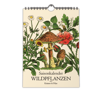 Saisonkalender mit Vintage-Illustrationen zeigt monatlich Wildkräuter & Pilze. Mit Infos zu Ernte, Nutzung & Fundort. Hochwertiger A4-Druck – ideal für Küche oder als Geschenk.