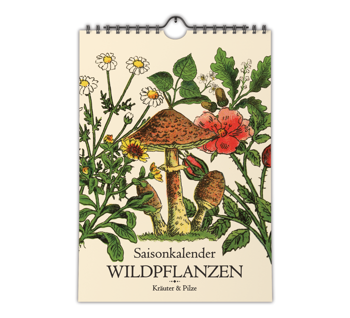 Saisonkalender mit Vintage-Illustrationen zeigt monatlich Wildkräuter & Pilze. Mit Infos zu Ernte, Nutzung & Fundort. Hochwertiger A4-Druck – ideal für Küche oder als Geschenk.