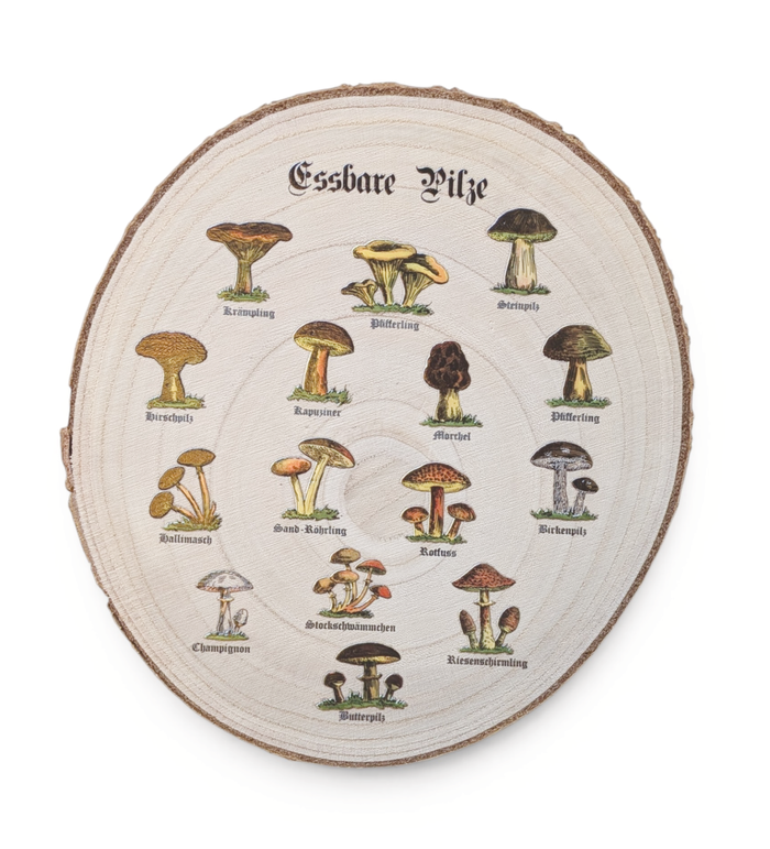 Rustikale Paulownia-Holzscheibe mit Rinde, bedruckt mit historischen Illustrationen essbarer Pilze und altdeutschen Namen im Vintage-Botanik-Stil auf hellem Holz.