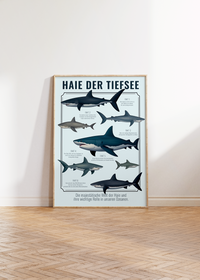 Poster Jungenzimmer Haie mit Fakten deutsch