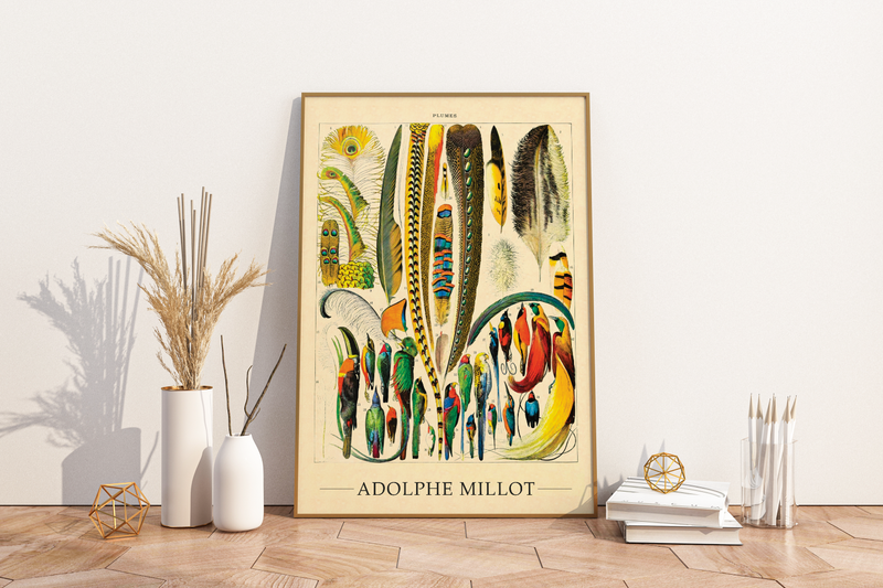Das Poster zu Vögeln ist eine Illustration des französischen Künstlers Adolphe Millot.
