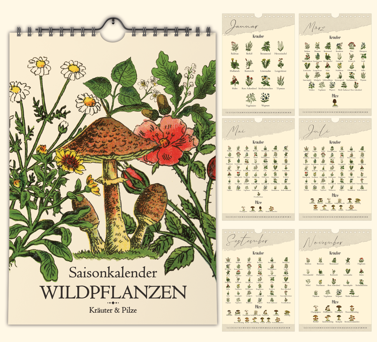 Saisonkalender mit Vintage-Illustrationen zeigt monatlich Wildkräuter & Pilze. Mit Infos zu Ernte, Nutzung & Fundort. Hochwertiger A4-Druck – ideal für Küche oder als Geschenk.