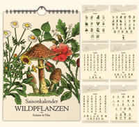 Saisonkalender mit Vintage-Illustrationen zeigt monatlich Wildkräuter & Pilze. Mit Infos zu Ernte, Nutzung & Fundort. Hochwertiger A4-Druck – ideal für Küche oder als Geschenk.