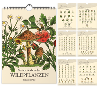 A4-Wandkalender mit historischen Illustrationen von Wildpflanzen, Kräutern und Pilzen aus der Zeit um 1900; Monatsübersicht mit saisonalen Pflanzen, hochwertiger Fineart-Druck auf Premium-Papier, Vintage-Design mit schwarzer Spiralbindung.