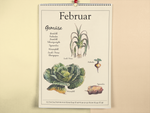 Dieser Kalender zeigt dir verschiedene saisonale und regionale Obst, Gemüse, Salat und Obst Sorten und wann diese verfügbar sind.