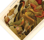 Das Poster von ausländischen Vögeln ist eine Vintage Lithographie aus Meyers Koversations-Lexikon aus dem Jahr 1890. 