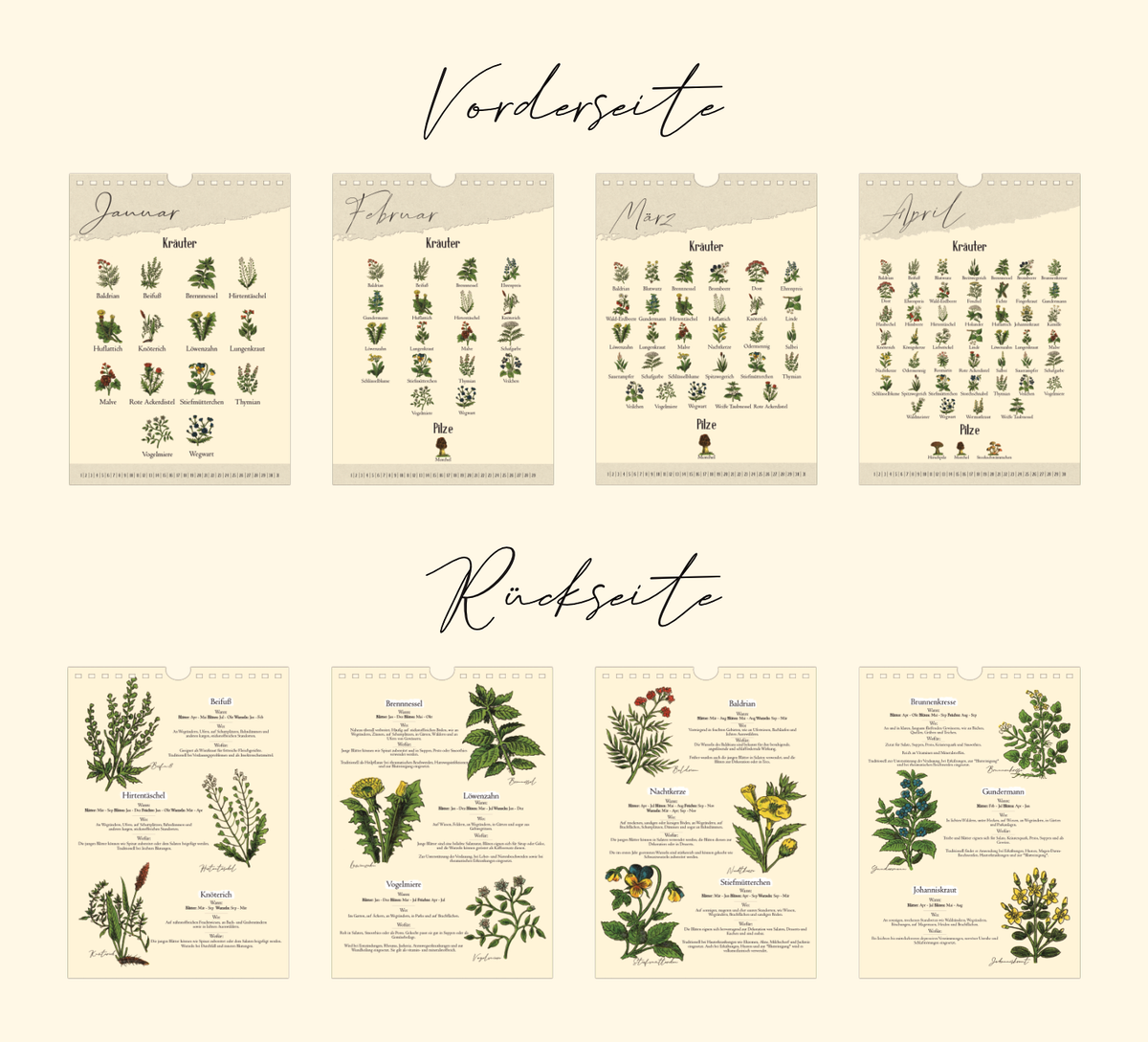 Saisonkalender mit Vintage-Illustrationen zeigt monatlich Wildkräuter & Pilze. Mit Infos zu Ernte, Nutzung & Fundort. Hochwertiger A4-Druck – ideal für Küche oder als Geschenk.