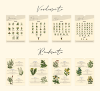 Saisonkalender mit Vintage-Illustrationen zeigt monatlich Wildkräuter & Pilze. Mit Infos zu Ernte, Nutzung & Fundort. Hochwertiger A4-Druck – ideal für Küche oder als Geschenk.