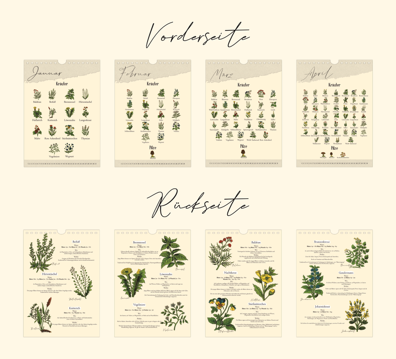 Saisonkalender mit Vintage-Illustrationen zeigt monatlich Wildkräuter & Pilze. Mit Infos zu Ernte, Nutzung & Fundort. Hochwertiger A4-Druck – ideal für Küche oder als Geschenk.